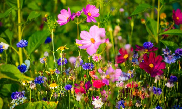 © Anka100 / Getty Images